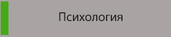 100%x280